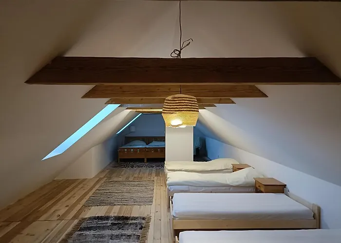 Mierki66 아파트 *